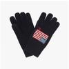 Polo Ralph Lauren Flag Touch Screen Gloves Pc1443 443