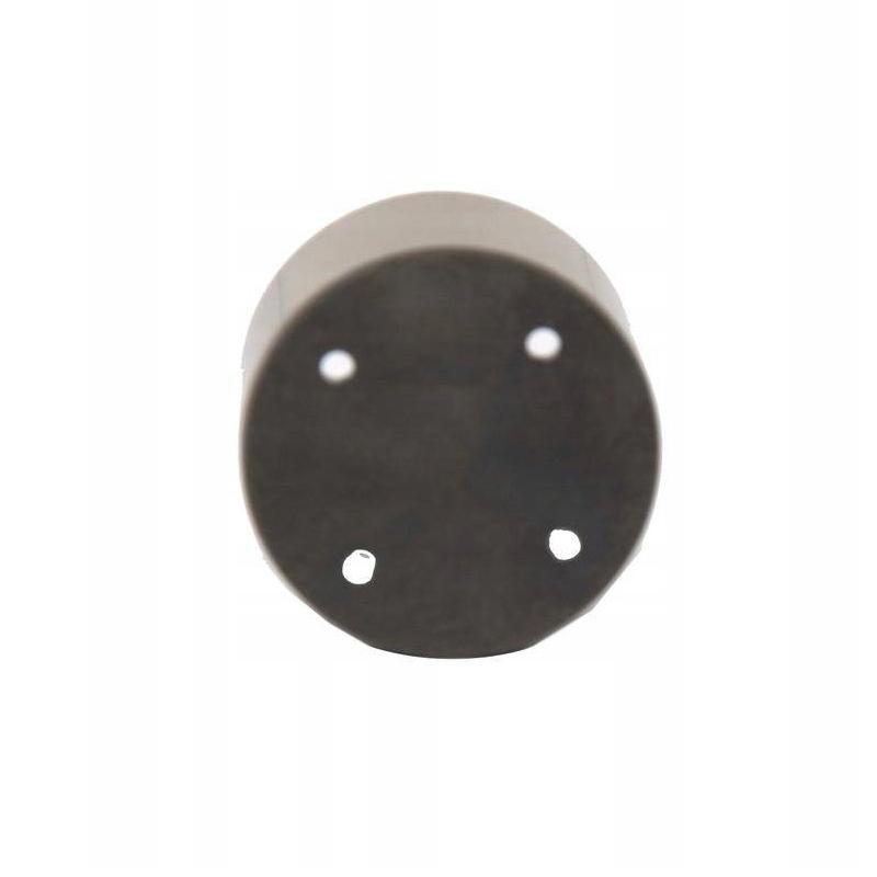 POKESS Pompa Carburante ad Alta Pressione Pistone Per Tappet Ford Volvo Land Rover Jaguar INA 711 0308 10 AG9E6C287AA