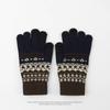 Thick Ethnic Style Gloves Driving Gloves Jacquard Gloves Warm Men Wool Mittens  Student