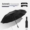 Shixun Automatic Folding Umbrella
