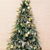 Colorful Acrylic Candy Cane Ornaments - Christmas Tree Icicle Pendants