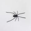 Funny Simulation Spider Toy Magnet Spider Prank Toys Spiders Decoration  Office Joke