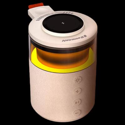 Newman HT-554 Bluetooth Speaker with Ambient Light CN Plug (adapter Included)
