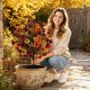 2pc Artificial Flower Garden Stakes for Outdoor Yard Decoration Durable Plastic Stem with Realistic Floral Design for Autumn Seasonal Display