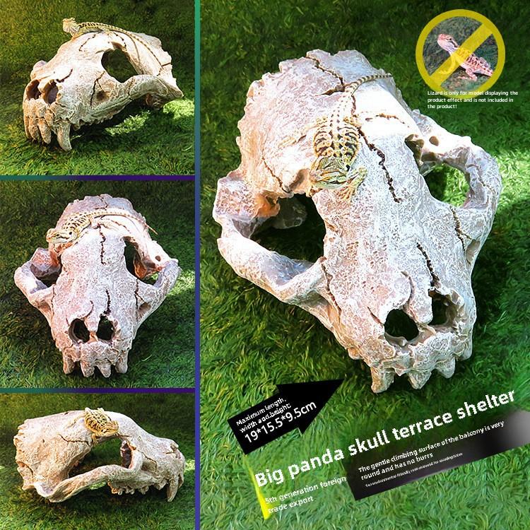 Akril Hüllőtenyésztő Doboz Dekoratív Koponyával