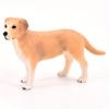 Simulation Hundemodell Solide Statische Ornament-Artefakt Golden Retriever Welpe Labrador Beagle Shiba Inu