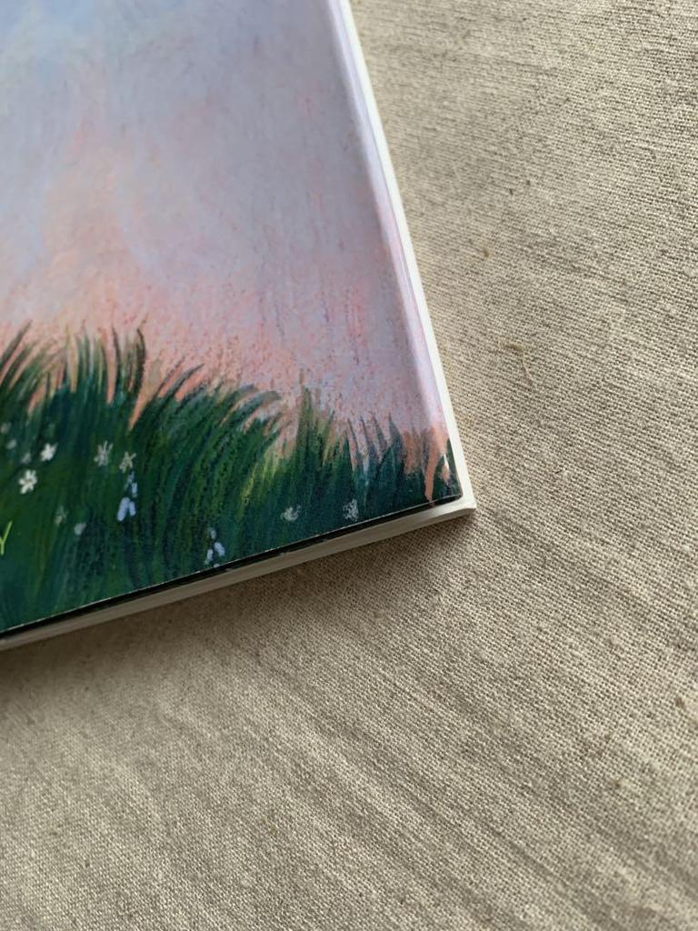 [USED] My Little Brave Girl Hilary Duff English Picture Book