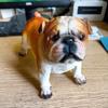 BRResin Handicrafts Creative and Cute Realistic Puppy French Bulldog Decorative Item Dog Outdoor Garden and Courtyard DecorationEY
