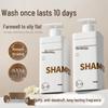 OEM Peptide Shampoo: Keratin Oil Control, Volumizing, Anti-Dandruff, Smoothing, Long-Lasting Fragrance.