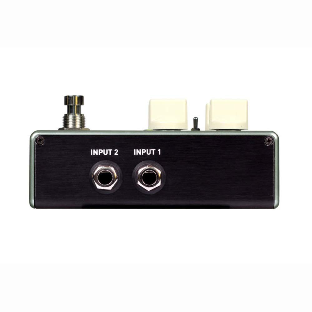 Source Audio SA247 True Spring Reverb Compact Effects Pedal (Reverb)