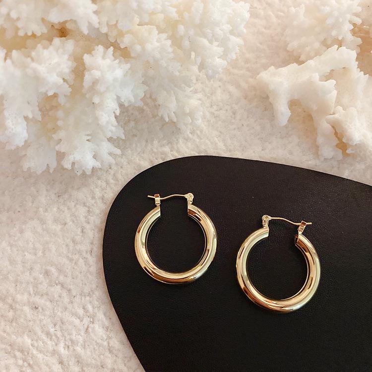 Anna's Influencer Style Metal Hoop Earrings: Simple, Versatile Circle Studs for Women