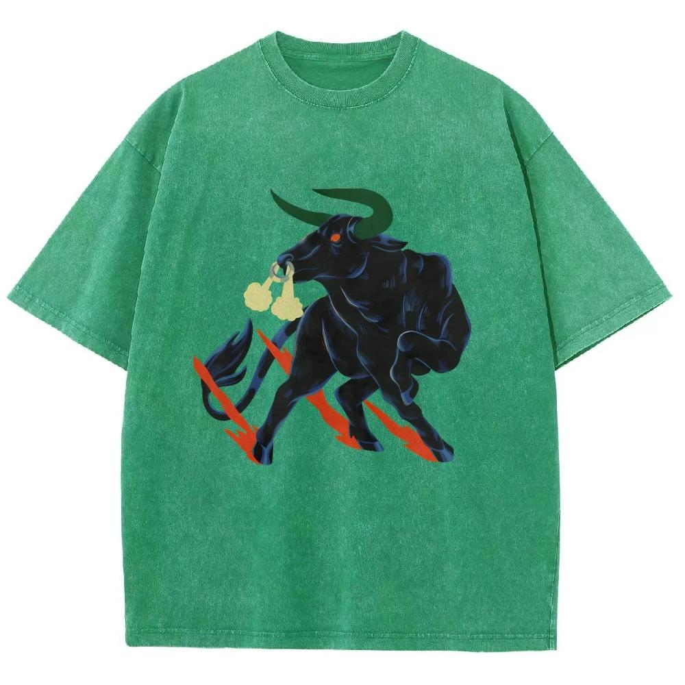 Cool Bull T Shirts Unisex Washed Tees Men Women Oversized Short Sleeve T-shirts Cotton Harajuku Graphic T Shirts