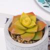 Simulation Succulent Plant Ceramic Pot Bonsai, Home Office Fresh Decoration, Simulation Pot Es1333