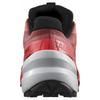 SALOMON Trail Running Shoes Spikecross 6 Goretex