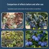 Solution nutritive spéciale pour myrtilles: Engrais acidifiant biologique pour les myrtilliers en pot, rend les feuilles jaunes vertes