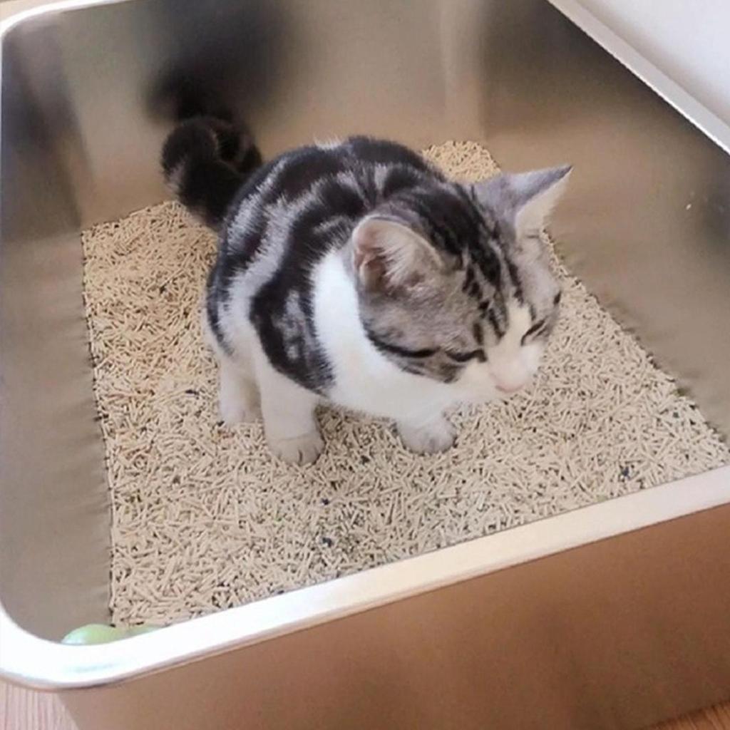 Edelstahl Katzentoilette Hohe Ränder Katzenstreuschale Katzenreinigungsschale mit Griff Katzenklo Dampftischschale Haustierstreuschale