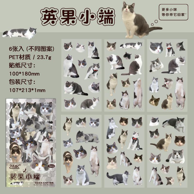 6 pcs Cute PET cat theme PET sticker bag handbag decoration stickers diy handbook material paper Scrapbooking Material