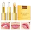 HelloKiss 3-teiliges Farbwechsel-Lippenstift-Set mit Blumeninfusion und Blattgold, einfach aufzutragen und feuchtigkeitsspendend.