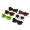 New Cat Eye Sunglasses French Fashion Same Glasses Personalized Internet Celebrity Catwalk Sunglasses Women
