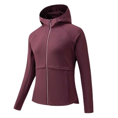 Bluzki – Bluzy i bluzy z kapturem