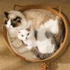 Cats Puppy Bed Basket Base Scratch Resistant Mat for Small to Medium Pet Creative Pet Bed Cute Nest Machine Washable