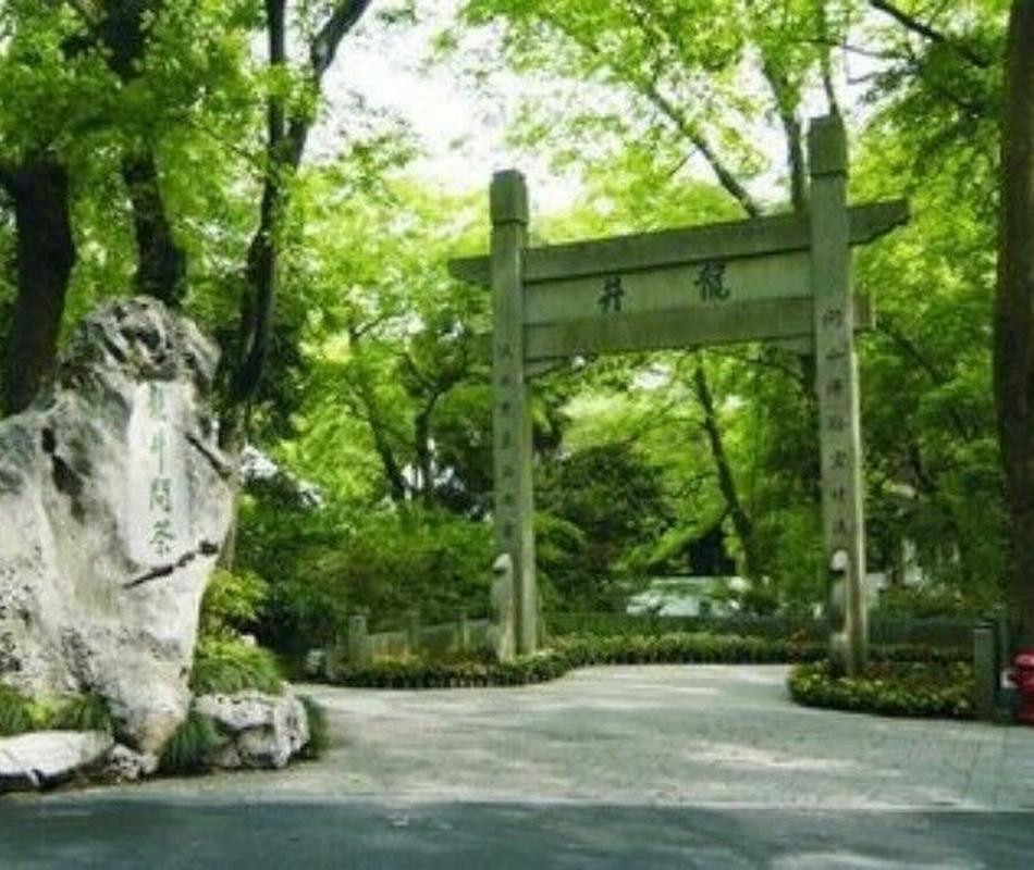 180gTop Grade West Lake Spring Longjing Green Tea Dragon Well Tea Long Jing Gift