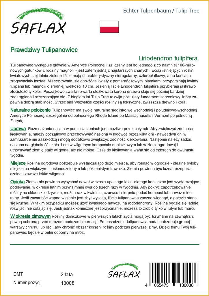 SAFLAX Tulip Tree - 20 Seeds - Liriodendron Tulipifera