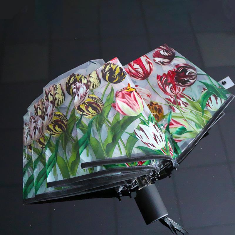 Dual-Use Automatic Transparent POE Umbrella - Xiaohongshu Style with Cats and Dogs Design