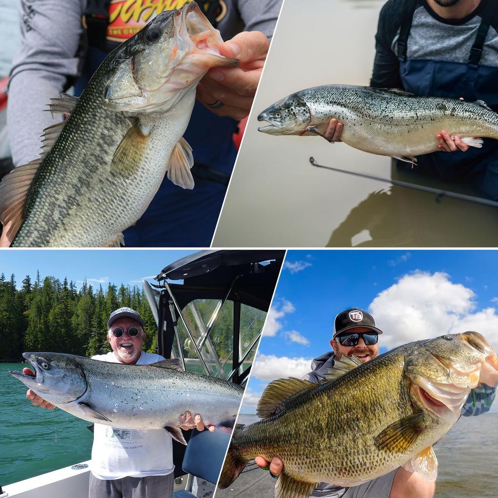 Goture Slow Fall Metal Set of Jigging Fishing Slow Spanish Sea Boat Fishing Jigs, 30g, 5, Lure, Jig, Sinker, Tackle, Jigging, Bluefish, Yellowtail,