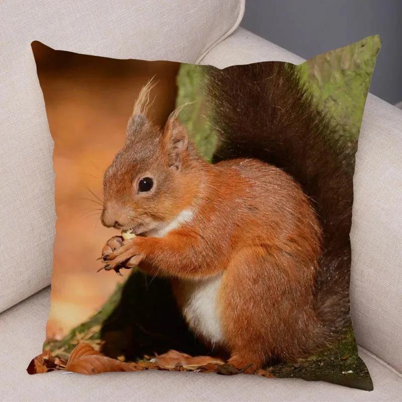Cute Squirrel Cushion Cover Pillowcase Pillow Covers Home Decor Pet Animal Pillows Case Super Soft Polyester Pillows Covers