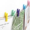 200pcs Wooden Clips, Colored Mini Wooden Photo Pegs, Paper Clips Clothespins Craft Pegs For Hanging Photos Craft Diy Decoration (3.5x0.7cm) - RiRi