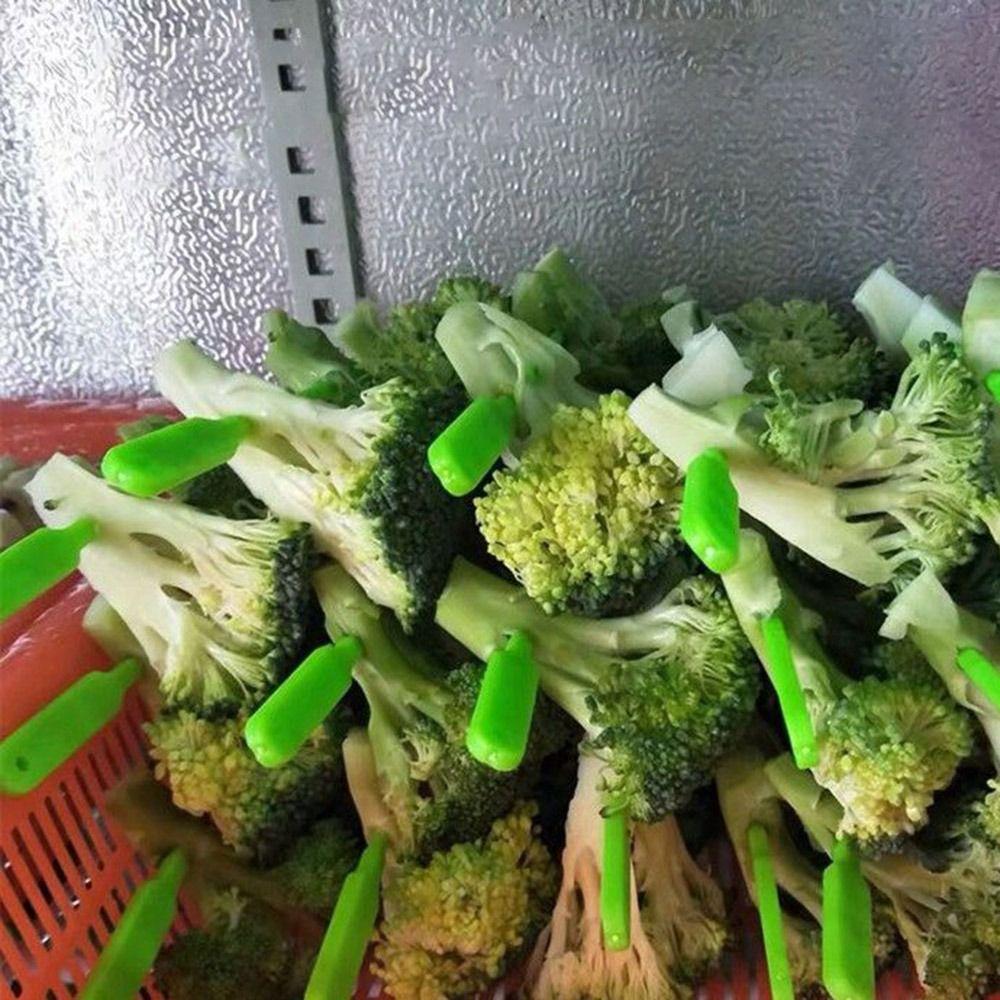 100Pcs Universal BBQ Skewer 18cm Air Fryer Skewers Barbecue Supplies Barbecue Skewers  Commercial