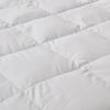 Jin Si Li Crown Plaza White Goose Down Quilt
