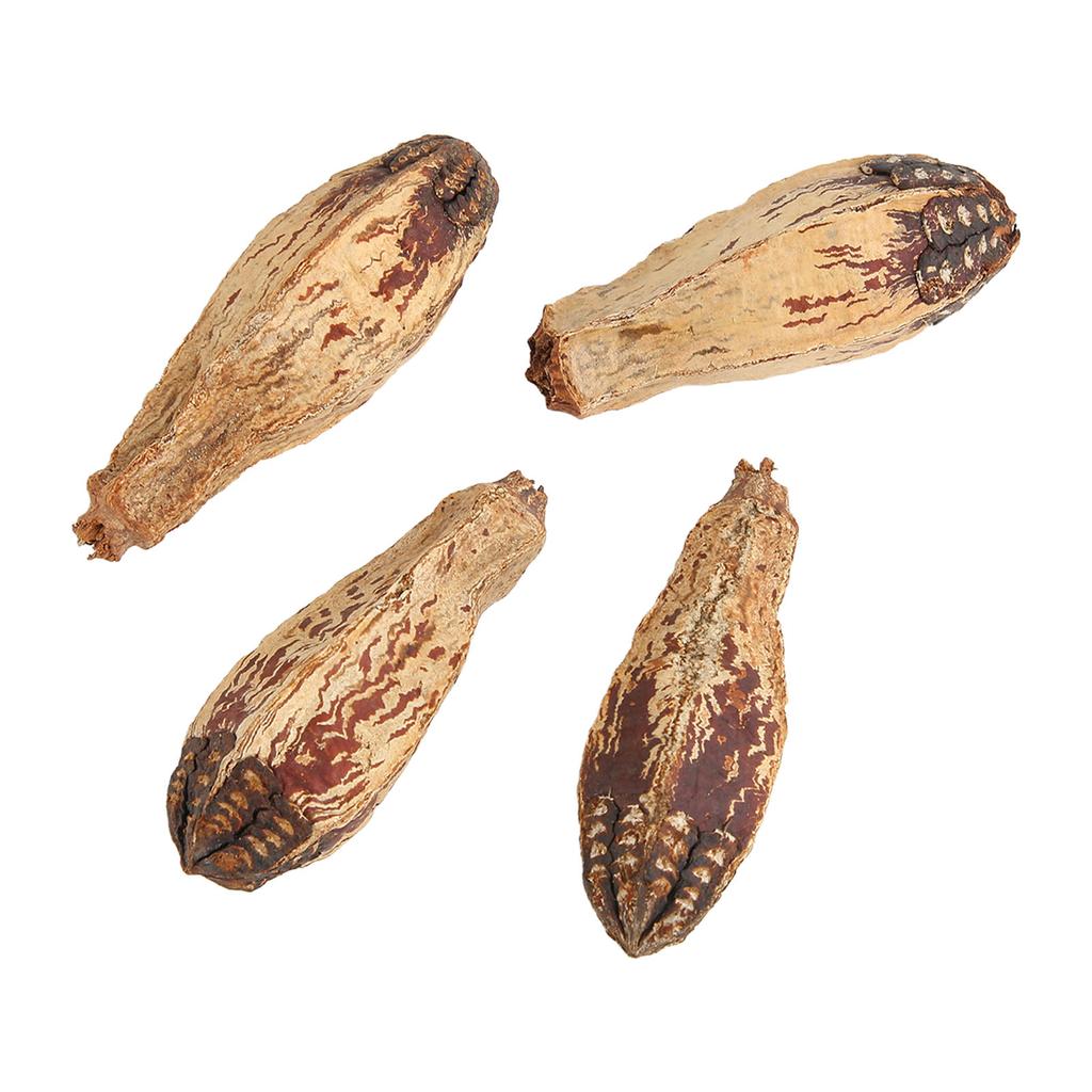 5 Bag Parrot Chew Nuts Relieve Boredom Sharpen Mouth Natural Home Decorative Dried Nut