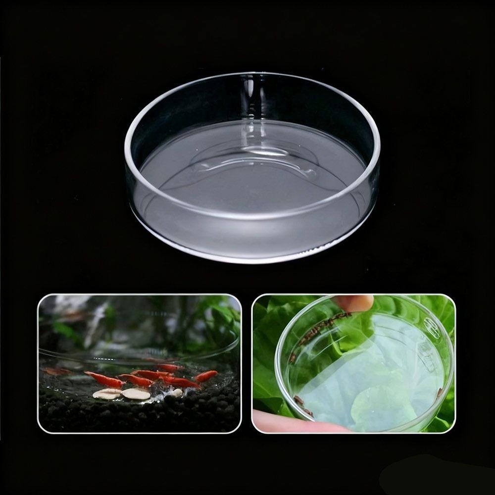 Acrylic Aerial Feeding Bowl Fish Shrimp Feeding Dish for Fish and Shrimp Aquariums