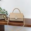 Handbag Small Bag Women's New Fashion Shoulder Small Square Bag Messenger Bag Tide