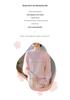 2026 Spring & Autumn Chiffon Knit Top: Stylish, Age-Defying Fashion for Middle-aged & Elderly Mothers