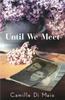 Until We Meet by Camille Di Maio Paperback Book 9781538738047