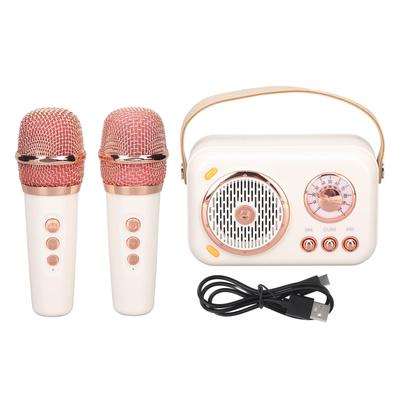 Karaoke Machine Multifunction Enhanced Bass 6 Modes Portable Bluetooth PA Speaker System with Mic
