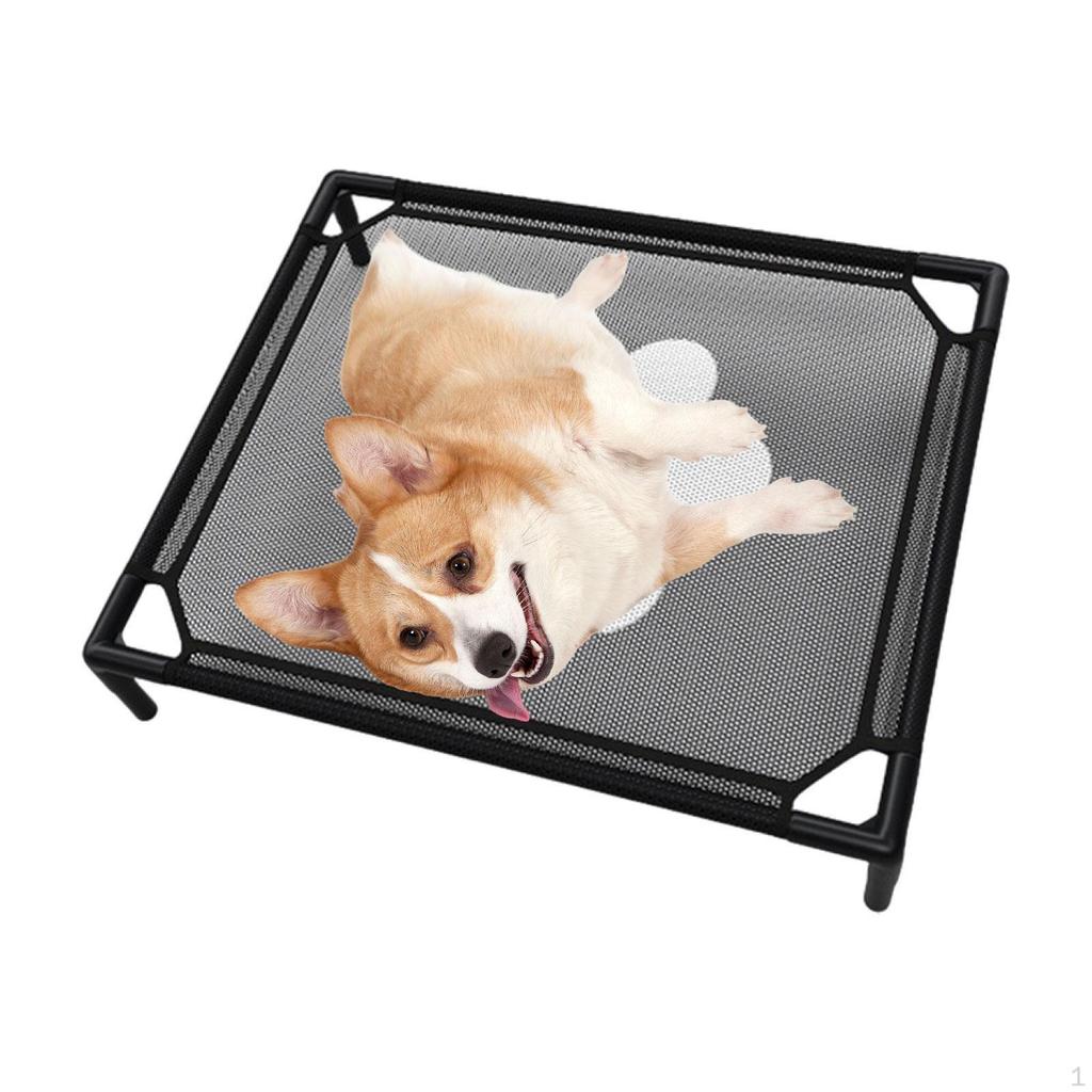 Cooling Elevated Pet Bed Comfortable Breathable Furniture Small Medium Dogs Raised