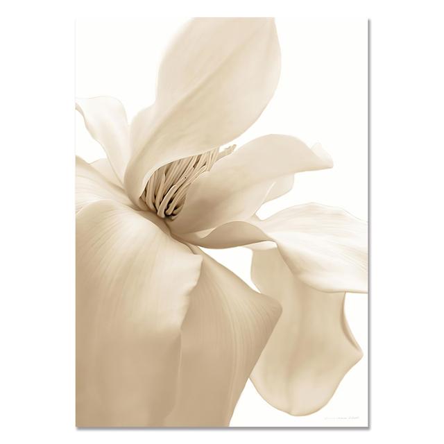 Nordic Wall Art White Shell Beach Flower Dandelion Canvas Painting  Posters and Prints Wall Pictures for Living Room Home Decor