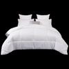 Qilu Hotel All-Season Down Alternative Quilt