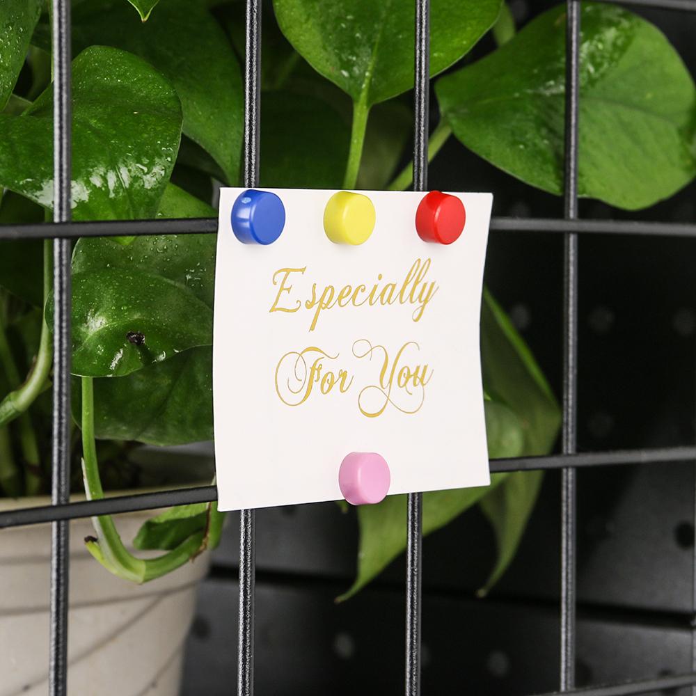 10MM/12PCS Round School Supplies Teaching  Home Decor Magnetic Sticker Classification Fridge Magnets