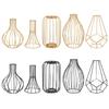 Retro Iron Art Vase Nordic Wrought Iron Glass Vase Black Gold Colors Hydroponic Flower Vase Geometric Line Frame Home Decoration