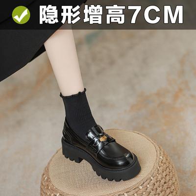 Women's Winter Thick-soled Thick-heeled Single Shoes, Soft-soled Commuter Small Leather Shoes