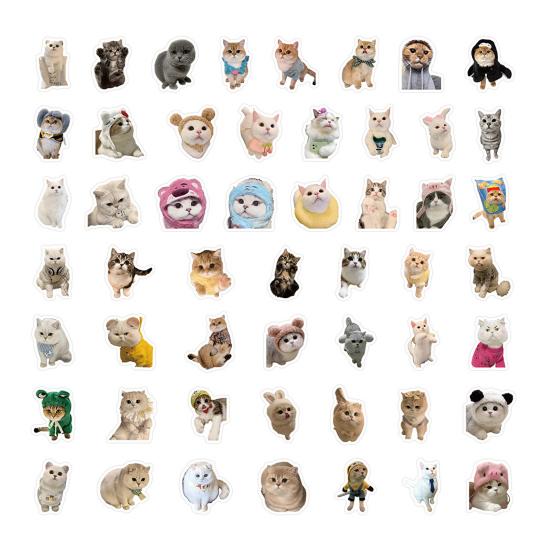 Oppbevaringsflaske for kjæledyrhår Nøkkelring med klistremerker Gjennomsiktig design Ministørrelse Bærbar Anheng for katte- og hundehår Samleobjekt Nøkkelring