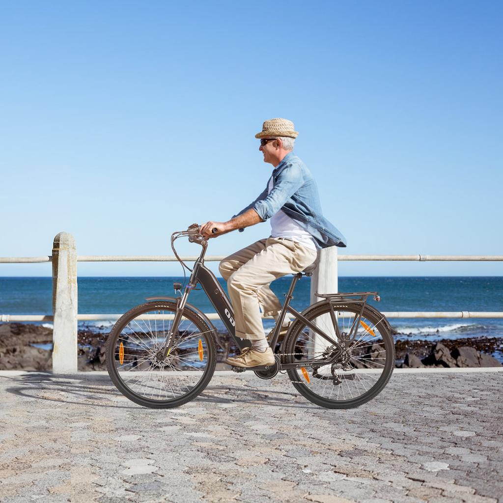 TTGO XK-ZZ-28ST Elektrische Fiets 250W Bafang Middenmotor 36V20AH Lithium Batterij Elektrische Fiets 28-inch Band Volwassen Stads Ebike