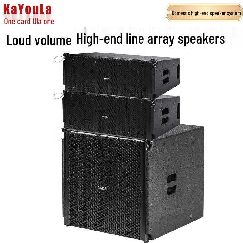 

KaYouLa Professional Dual 8-inch Line Array Stage Speaker System