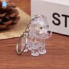 Clear Puppy Hair Memorial Keychain Capsule Pet'S Dog Fur Container Diy Pendant Keychain Decor Pet Lovers Home Display Gifts