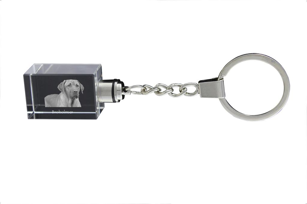 Black and Tan Coonhound - Portachiavi in cristallo con foto del cane, portachiavi illuminato, regalo unico del marchio Art-Dog
